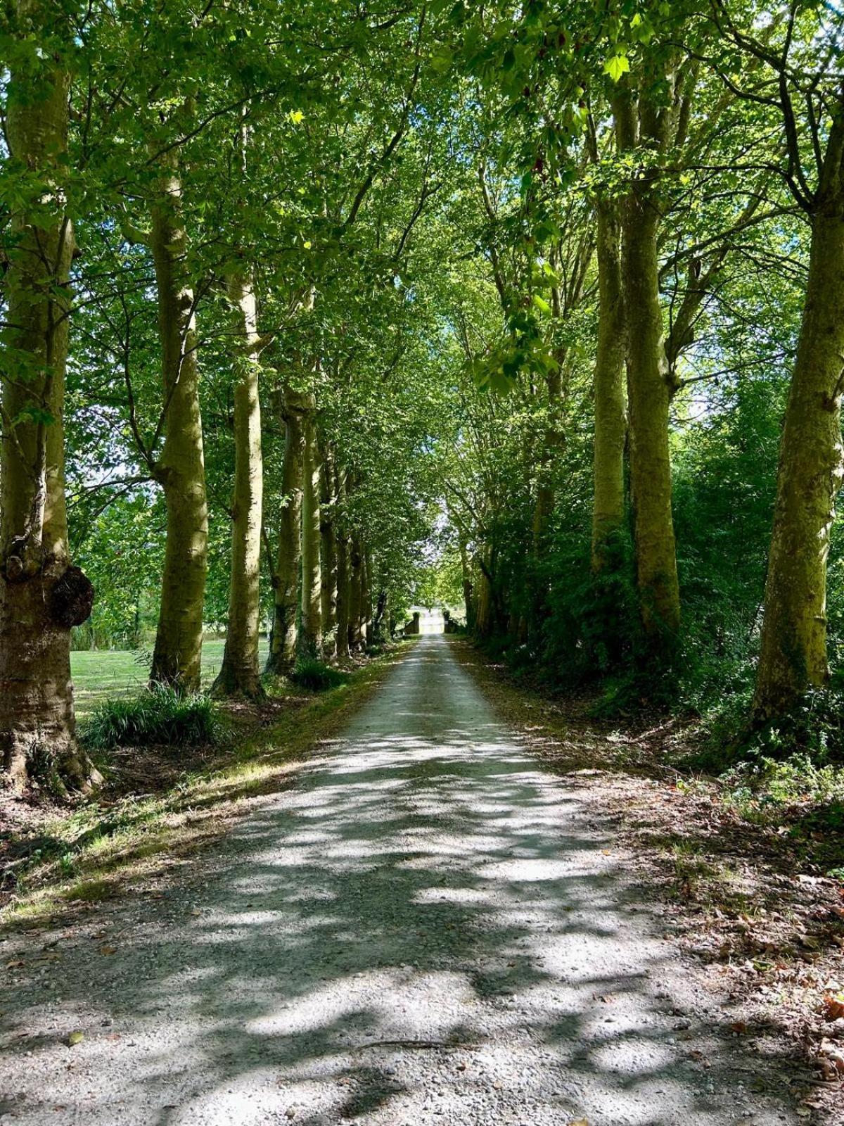 Domaine De Fontsauzine - Gites Et Chambre D'Hotes Genouille  Buitenkant foto