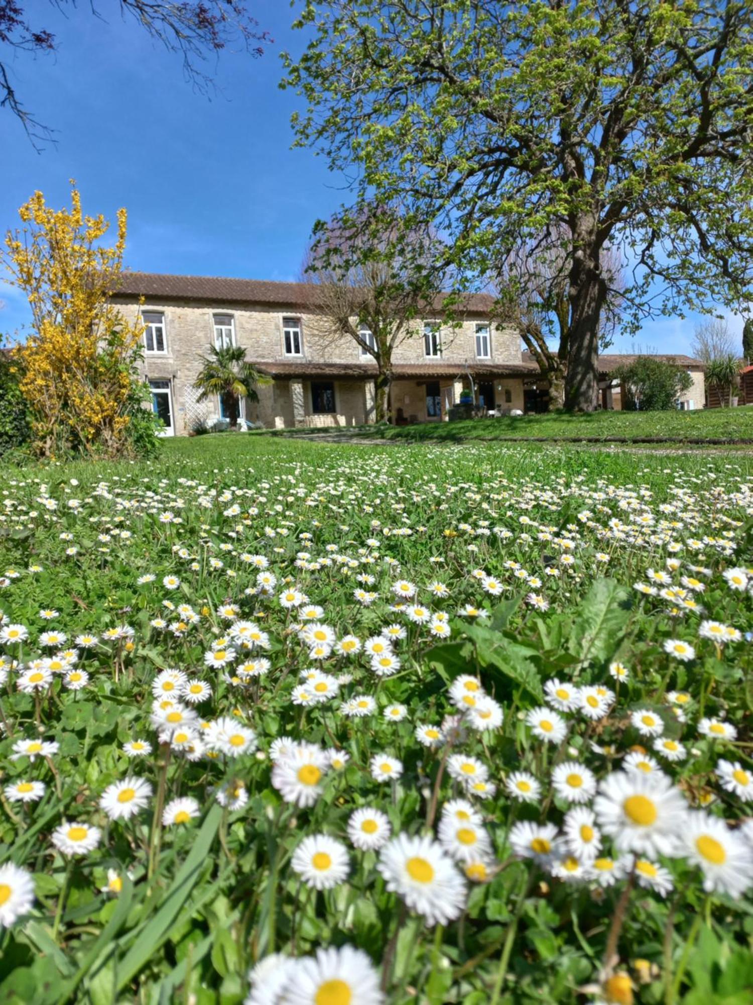 Domaine De Fontsauzine - Gites Et Chambre D'Hotes Genouille  Buitenkant foto